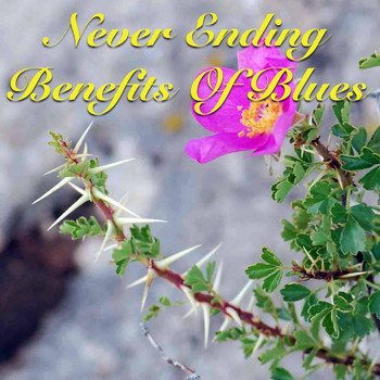 Various Artists - Never Ending Benefits Of Blues
