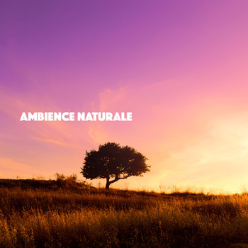 Rain, Ocean Sounds and Rainfall - Ambience Naturale