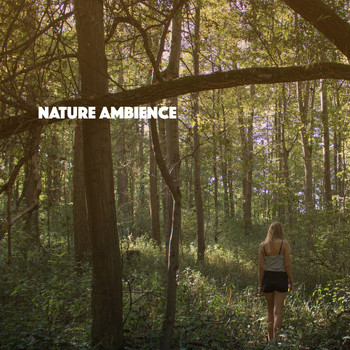 White Noise Research, Sounds of Nature Relaxation and Nature Sounds Artists - Nature Ambience