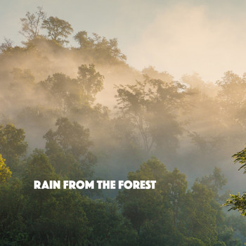 Rain Sounds, White Noise Therapy and Sleep Sounds of Nature - Rain from the Forest