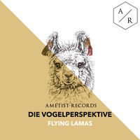 Die Vogelperspektive - Flying Lamas