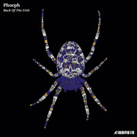 Phoeph - Back of the Unit