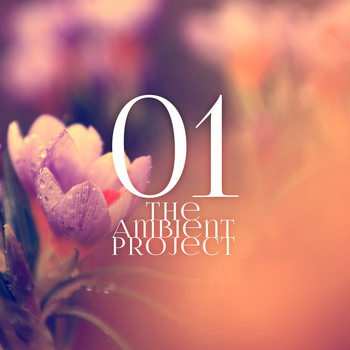 Various Artists - The Ambient Project, Vol. 1