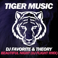 DJ Favorite & Theory - Beautiful Night (DJ Flight Remix)