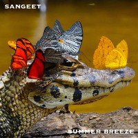 Sangeet - Summer Breeze
