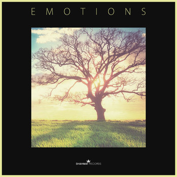 Various Artists - Emotions