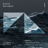 Richie Gallagher - Avenir