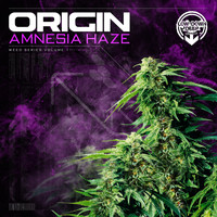 Origin - Amnesia Haze