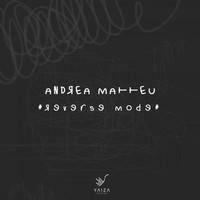 Andrea Matteu - Reverse Mode