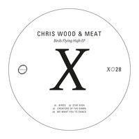 chris wood & meat - Birds Flying High EP