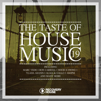 Various Artists - The Taste of House Music, Vol. 19