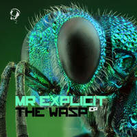 Mr Explicit - Wasp - EP