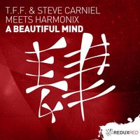 T.F.F. & Steve Carniel meets Harmonix - A Beautiful Mind