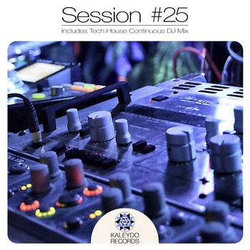 Various Artists - Kaleydo Records Session #25