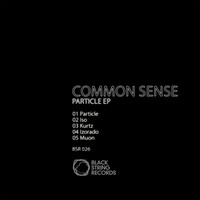 Common Sense - Particle EP