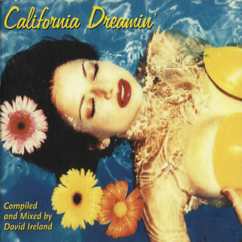 David Ireland - California Dreamin'