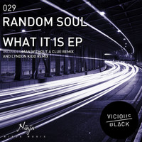 Random Soul - What It Is (EP)