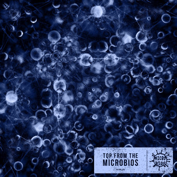 Various Artists - Top from the Microbios