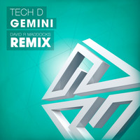 Tech D - Gemini