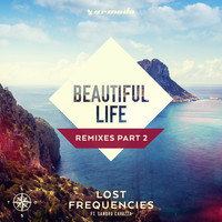 Lost Frequencies feat. Sandro Cavazza - Beautiful Life (Remixes Part 2)
