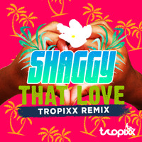Shaggy - That Love (Tropixx Remix)
