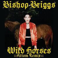 Bishop Briggs - Wild Horses (Attom Remix)