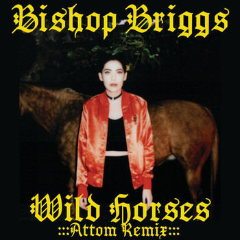 Bishop Briggs - Wild Horses (Attom Remix)