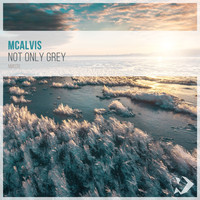McAlvis - Not Only Grey