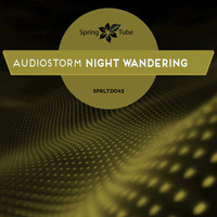 AudioStorm - Night Wandering
