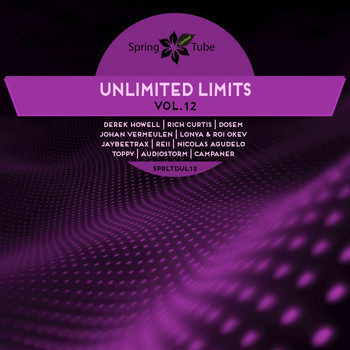 Various Artists - Unlimited Limits, Vol. 12