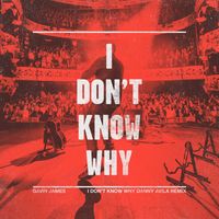 Gavin James - I Don't Know Why (Danny Avila Remix)