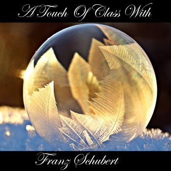 Franz Schubert - A Touch Of Class With Franz Schubert
