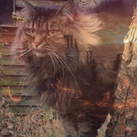 Music For Cats - Apocalypse Meow!