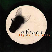 Closer - Fly in the Milk