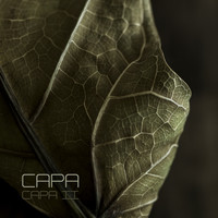 CaPa - Capa II
