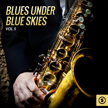 Various Artists - Blues Under Blue Skies, Vol. 5