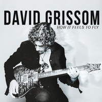 David Grissom - How It Feels to Fly (Explicit)