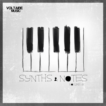 Various Artists - Synths And Notes 33