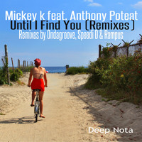 Mickey K - Until I Find You (Remixes)