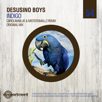 Desusino Boys - Indigo