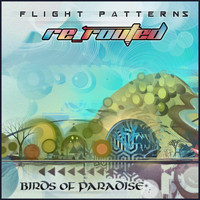 Birds of Paradise - Flight Patterns (Re-Routed)