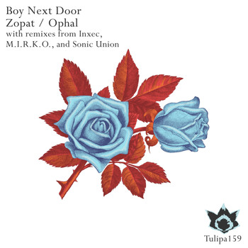 Boy Next Door - Zopat / Ophal