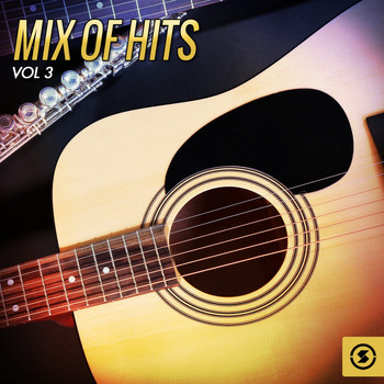 Various Artists - Mix of Hits, Vol. 3