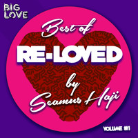 Seamus Haji - Best Of Re-Loved, Vol. 1