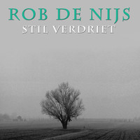 Rob De Nijs - Stil Verdriet