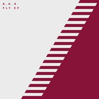 B.K.R - Fly EP