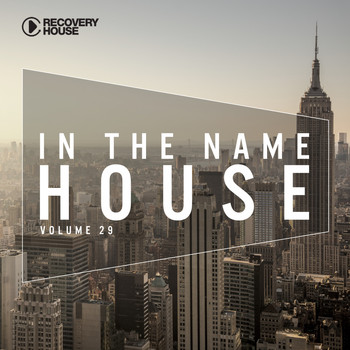 Various Artists - In The Name of House #29