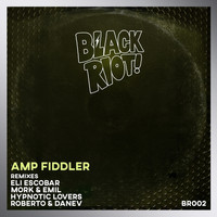 Amp Fiddler - Black Riot 02
