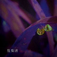 ALEISTER - Kai-ro-sei