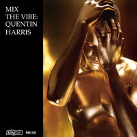 Quentin Harris - Mix the Vibe: Quentin Harris Timeless Re-Collection